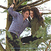 bastidores_crepusculo_326.jpg