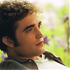 stills_eclipse_031.jpg
