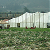 bastidores_wfe_006.jpg