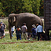 bastidores_wfe_023.jpg