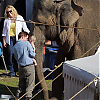 bastidores_wfe_017.jpg