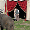 bastidores_wfe_085.jpg