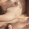 divulgacao_wfe_001.jpg