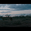 Matrícula=052.jpg
Tamanho=116KB
Dimensão=1920x1080
Data Envio=03 Mai 2014 052.jpg