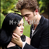 photoshoot_harpers_055.jpg